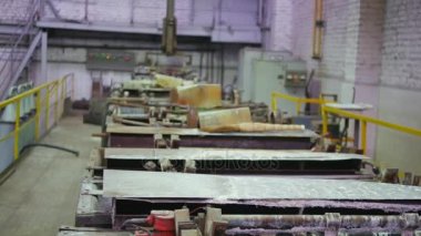 Bitki. Mühendislik üretim.