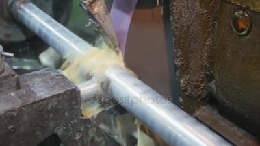 Bitki. Mühendislik üretim.