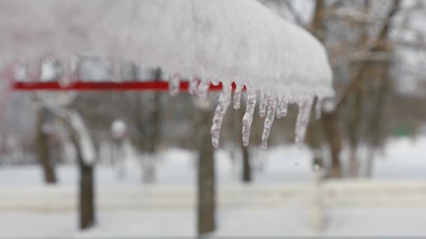 Άνοιξη σταγόνες, icicles — Αρχείο Βίντεο