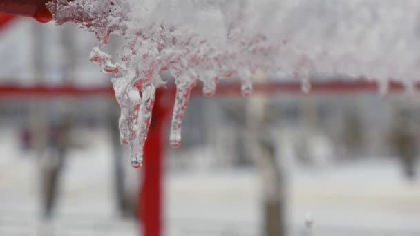 Άνοιξη σταγόνες, icicles — Αρχείο Βίντεο