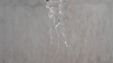 Damlama Icicle. buz sarkıtları, çatıdan asılı saçağı eriyor, Bahar damla