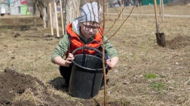 Bahar. Meyve ağaçları çok katlı Konut Binası yanındaki dikim küçük bir çocuk. Ekoloji, sokakta fidan dikim. Çocuk bardaklarda deliğe kayısı fide sulama