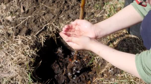 Primavera. Un ragazzino piantare alberi da frutto accanto a un edificio residenziale a più piani. Ecologia, piantare piantine per strada. Gocce d'acqua cadono lentamente dai piccoli palmi del bambino al — Video Stock