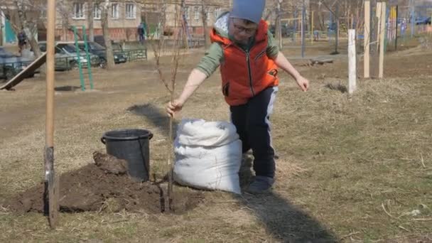 Primavera. Un niño pequeño plantando árboles frutales junto a un edificio residencial de varios pisos. Ecología, plantando plántulas en la calle. niño en vasos establece una plántula de albaricoque en un agujero y amontona el — Vídeos de Stock