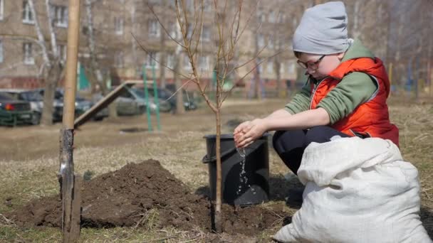 Våren. En liten pojke plantera fruktträd bredvid ett Flervånings bostadshus. Ekologi, plantering plantor på gatan. Droppar vatten långsamt falla från små handflatorna av barnet till den — Stockvideo