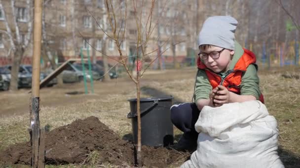 Våren. En liten pojke plantera fruktträd bredvid ett Flervånings bostadshus. Ekologi, plantering plantor på gatan. jord faller långsamt från barnet lite händer på den — Stockvideo