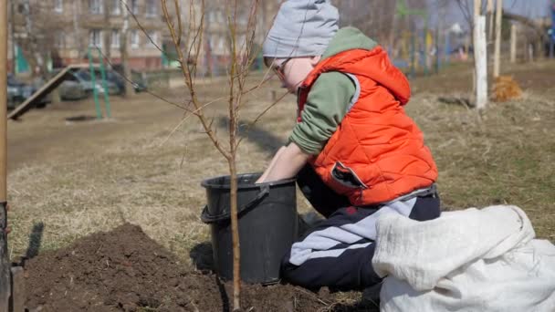 Primavera. Un niño pequeño plantando árboles frutales junto a un edificio residencial de varios pisos. Ecología, plantando plántulas en la calle. Gotas de agua caen lentamente de las pequeñas palmas del niño a la — Vídeo de stock