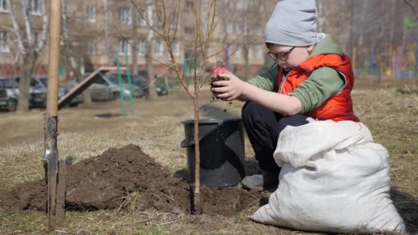 春。多階建ての住宅建物の横に果樹を植える少年。生態学、路上で苗を植えます。土壌が子供の小さな手からにゆっくりと落ちる、 — ストック動画