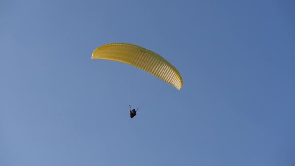 Paraglider. Glider on an inflatable wing. — Stock Video