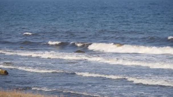 Espuma olas lavar sobre la playa de conchas . — Vídeos de Stock