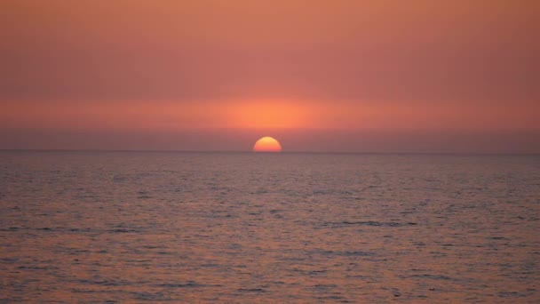 海の中の赤い夕日 緋色の夕日 太陽は地平線から昇る — ストック動画