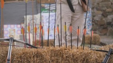 Oklar kamışa saplanmış. Hafif silahlar suçlaması. port okçuluğu ve tatar yayı.