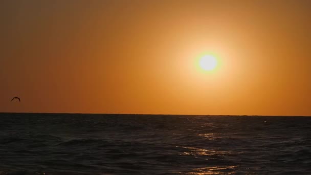 Puesta de sol roja en el mar . — Vídeo de stock