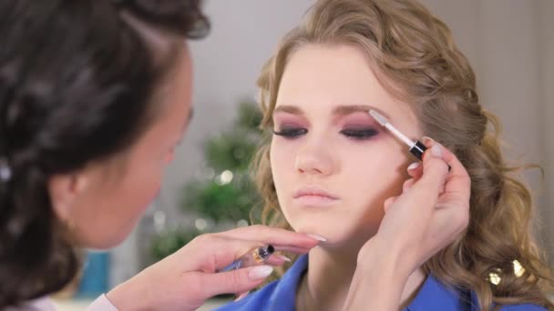 Werk van een make-up artiest. Wenkbrauw styling gel aanbrengen met een siliconen borstel. — Stockvideo