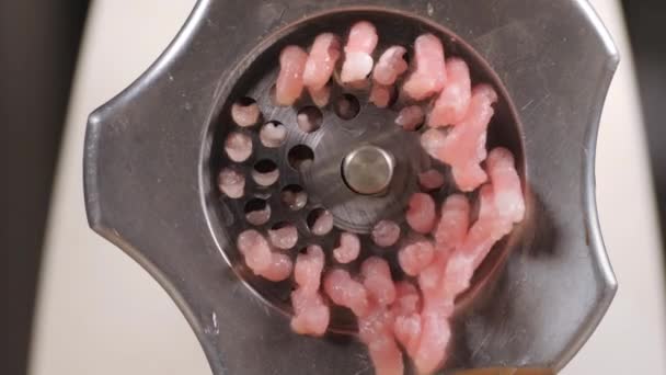 Filling comes out through a meat grinder sieve. Meat grinder close up. Pile of chopped meat. Mincer machine with fresh chopped meat. Process of meat grinding in the kitchen with mincing machine — 비디오