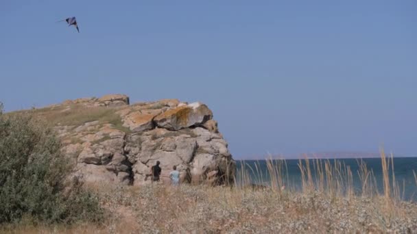 Kite flies over the coastline. Family vacation with children on the sea. — Stockvideo