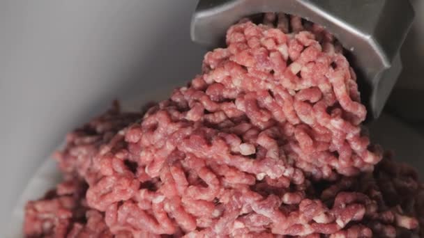 Corte Carne Alce Salvaje Procesamiento Carne Cruda Oscura Composición Caza — Vídeo de stock