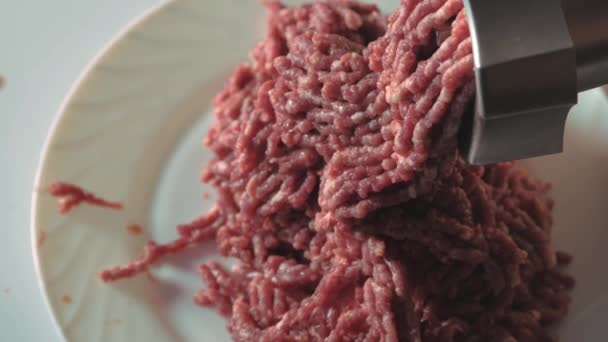느릅나무 고기를 자르는 날고기 분쇄기로 요리하는 — 비디오