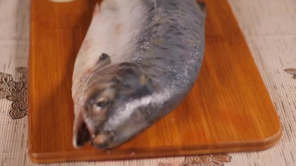 在木板上切鱼 粉红鲑鱼已经上桌了 用刀割断海鱼的头和尾 库克的手戴着胶乳手套 — 图库视频影像