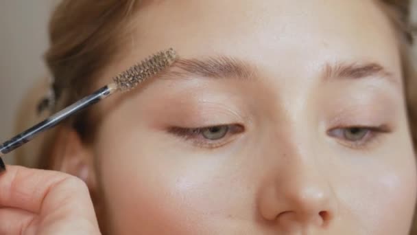Makeup mästare sätter makeup i ansiktet på klienten. Kamma ögonbrynen med en silikonborste. — Stockvideo