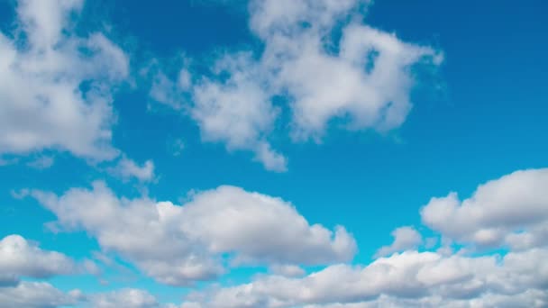 맑은 푸른 하늘에 떠 있는 구름들. 봄에는 하얀 구름 이하늘을 가로질러 이동 한다. — 비디오