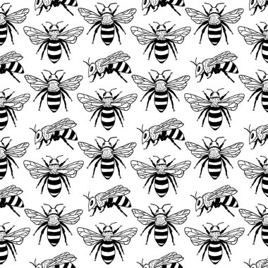 Vektör arılar, yaprak ve çiçek ile seamless modeli. Siyah ve sarı doku