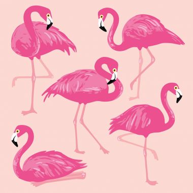 Vektör ile pembe flamingolar ayarla. El çizilen illüstrasyon