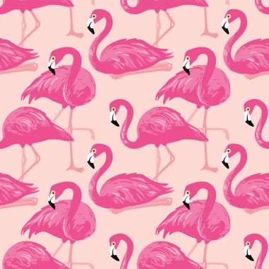 Vektör flamingolar ile seamless modeli