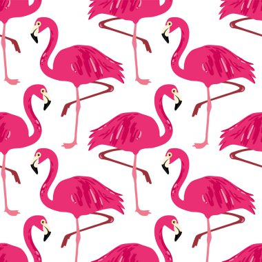 Vektör flamingolar ile seamless modeli
