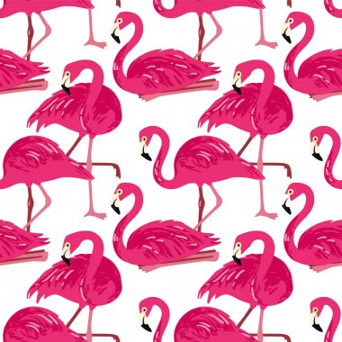 Vektör flamingolar ile seamless modeli