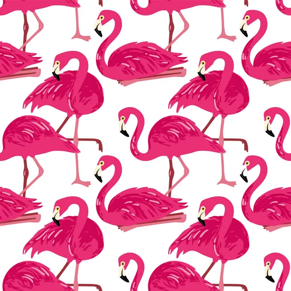 Vektör flamingolar ile seamless modeli