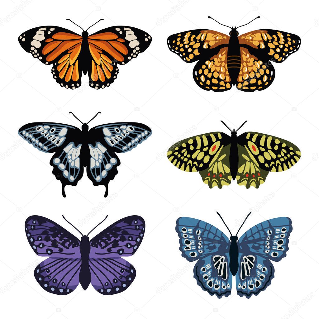 Vector set with isolated butterflies. Hand drawn design