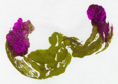 Bright suluboya doku boyalı. Elle çizilmiş arka plan metin yer ile.