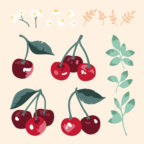 Set de verano vectorial con cerezas dulces, hojas y flores aisladas sobre fondo blanco — Vector de stock