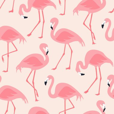 Vektör flamingolar ile seamless modeli