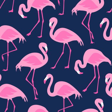 Vektör flamingolar ile seamless modeli