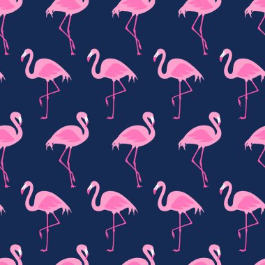 Vektör flamingolar ile seamless modeli