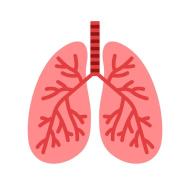 İzole akciğerlerin vektör çizimi