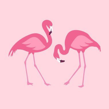 Vektör izole edilmiş pembe flamingo çifti. El Çizimi illüstrasyonu