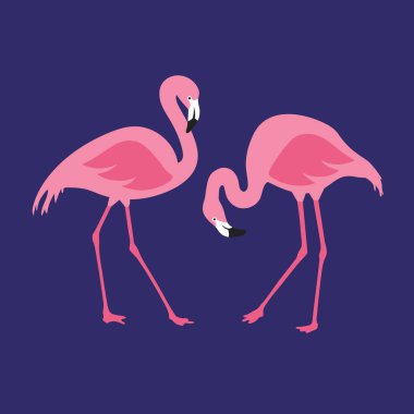 Vektör izole edilmiş pembe flamingo çifti. El Çizimi illüstrasyonu