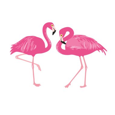 Vektör izole edilmiş pembe flamingo çifti. El Çizimi illüstrasyonu