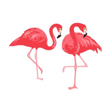 Vektör izole edilmiş pembe flamingo çifti. El Çizimi illüstrasyonu