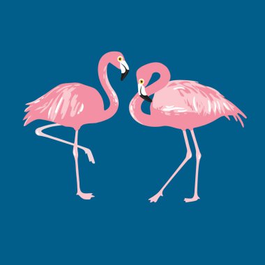 Vektör izole edilmiş pembe flamingo çifti. El Çizimi illüstrasyonu