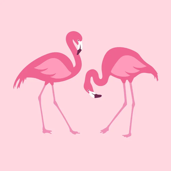 Pareja Flamencos Rosados Aislados Vectoriales Ilustración Dibujada Mano — Vector de stock