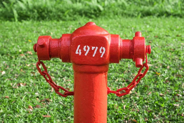 Крупним планом пожежний гідрант з трав'яним фоном — стокове фото