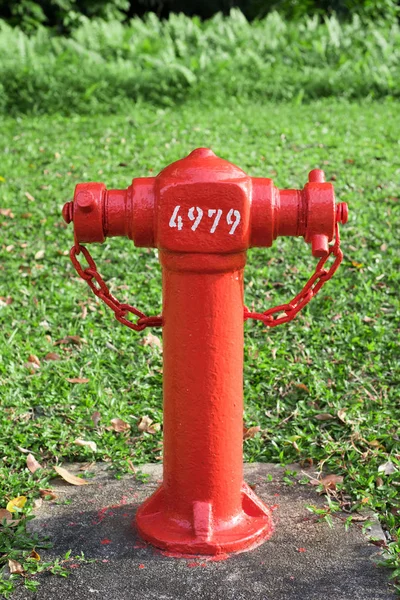 消防栓与草背景 — 图库照片