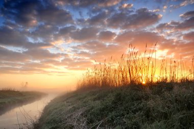 Sunrise bir puslu nehir ve reed