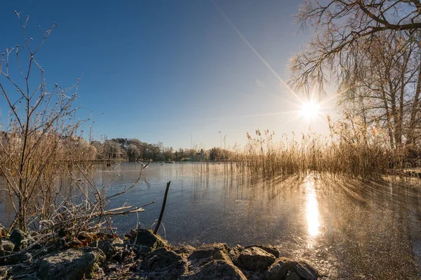 Donmuş Göl — Stok fotoğraf