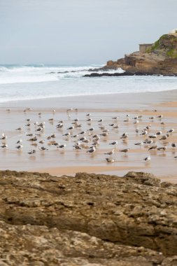 surfes bulutlu günde ile Atlantik kıyı şeridi