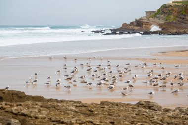 surfes bulutlu günde ile Atlantik kıyı şeridi